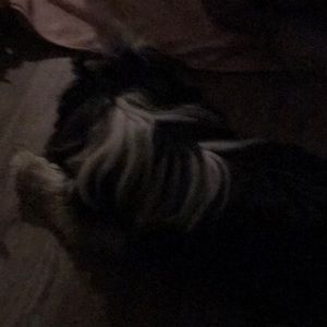 Meet your Posher, Debbie